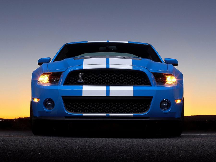  Shelby GT500 2009 года  (фото 18 из 21)